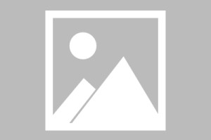 【云龙区最新疫情报告/云龙区疫情防控】
